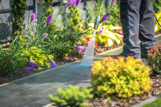 Best Oil and Grease Removal from Surfaces in Genoa City, WI