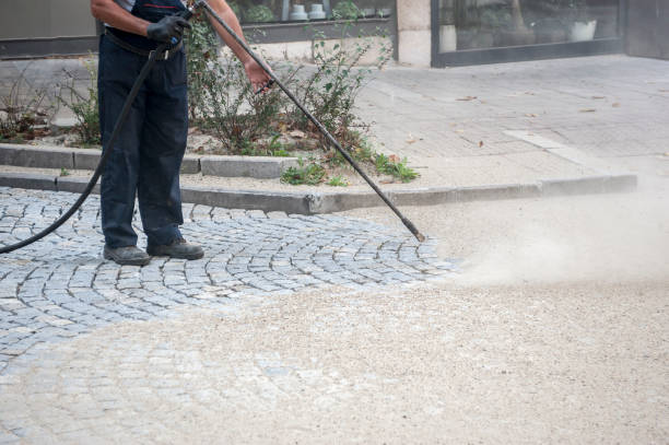 Best Gutter Cleaning and Brightening in Genoa City, WI